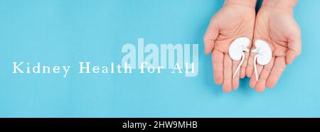 Hände, die eine Niere halten, Papier ausgeschnitten, Weltnierentag, Gesundheitsprobleme, Organtransplantation, Medizinisches Problem Stockfoto