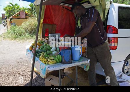 Prickly Bay Grenada L'anse Aux Epines Beach Obst und Gemüse Verkäufer Stockfoto