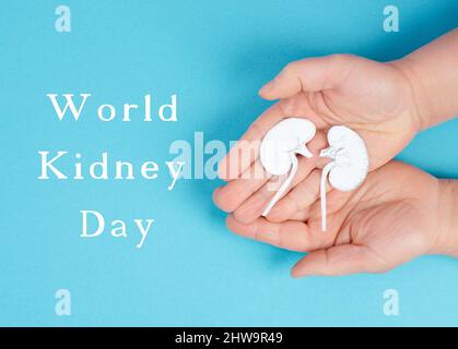 Hände, die eine Niere halten, Papier ausgeschnitten, Weltnierentag, Gesundheitsprobleme, Organtransplantation, Medizinisches Problem Stockfoto