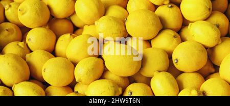 Reife, gelbe Zitronen Close-up Hintergrund oder Textur. Zitrone Ernte, viele gelbe Zitronen. Stockfoto