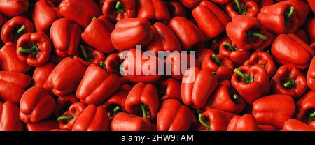 Viele rote organische Paprika oder Paprika auf dem Markt zum Verkauf. Stapel von süßen Paprika Paprika Hintergrund. Stockfoto