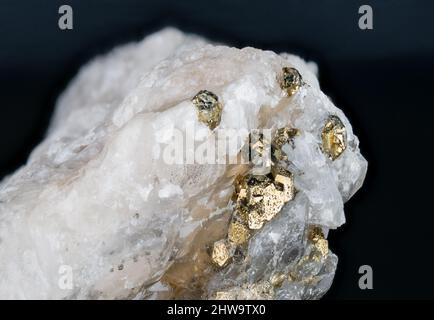 Eisenpyrit Mineral in weißem Naturquarz Detail auf schwarzem Hintergrund. Nahaufnahme von glänzendem Metallic-Gold. Brassy goldene kubische Kristalle in einem Kieselgel. Stockfoto