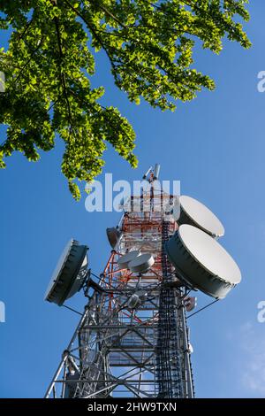 Parabolantennen auf Stahlkommunikationsturm unter blauem Himmel und Baumzweig. Transmitterstation mit Geräten zur Übertragung von HF-Signalen. Stockfoto