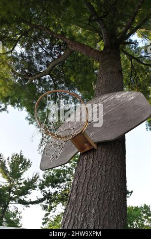 Ein alter, wettergetragener Basketballkorb und Backboard wurden an einen Baum in einer Hütte genagelt Stockfoto