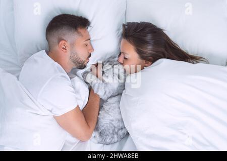 Junges Paar liegt im Bett mit entzückenden Katze. Frau küsst niedliche Katze. Liebe für Katzen oder Haustiere. Schlafen Sie mit Haustieren Stockfoto