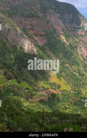 Terrassenfeld auf La Gomera, Kanarische Inseln, La Gomera Stockfoto