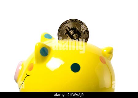 Gelbe Sparschwein und goldene Bitcoin-Münze darin. Isoliert auf weißem Hintergrund. Stockfoto