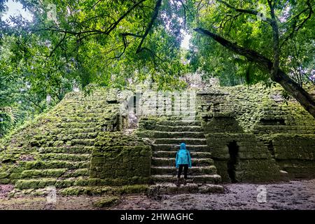 Der Dschungel, der alte Maya-Ruinen, den Tikal Nationalpark, Petén, Guatemala, überzieht Stockfoto