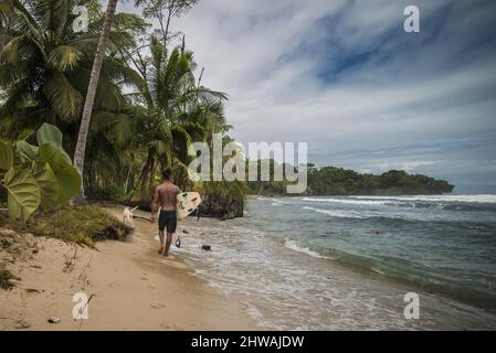 Rückaufnahme eines Surfers, der sein Surfbrett hält und mit seinem Hund an einem tropischen Strand läuft Stockfoto