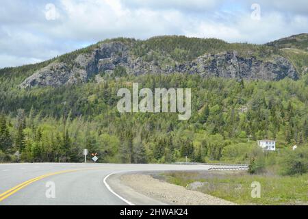 Steile Felswand und Wald entlang des Newfoundland Highway im Frühling Stockfoto