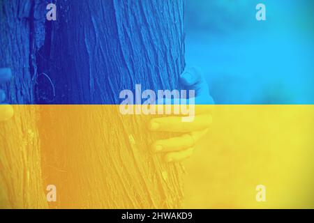 Nahaufnahme einer ukrainischen Frauenhand, die einen Baum mit einer ukrainischen Flagge als Hintergrund berührt. Stockfoto