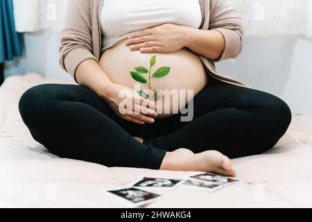 Eine Schwangerin hält eine grüne Sprosspflanze in der Nähe ihres Bauches als Symbol für neues Leben, Mutter, Wohlbefinden, Fruchtbarkeit, ungeborene Gesundheit des Babys. Konzept Schwangerschaft, m Stockfoto