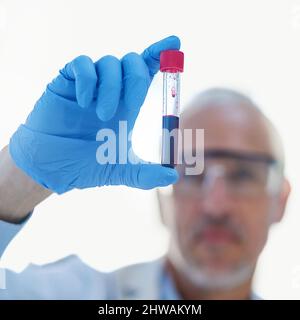 Genau beobachten Nahaufnahme eines Wissenschaftlers, der ein Reagenzglas in einem Labor untersucht. Stockfoto