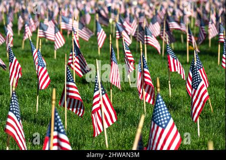 Am Memorial Day stecken kleine US-Flaggen in den Boden Stockfoto