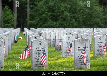 Grabsteine und Gräber auf dem Nationalfriedhof Tahoma in Kent, Washington, am Memorial Day Stockfoto