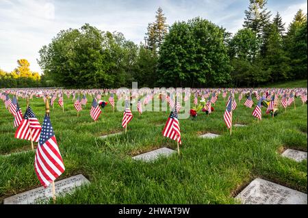 Halten Sie Flaggen der Vereinigten Staaten an Bodengrabsteinen auf dem Tahoma National Cemetery in Kent, Washington, USA Stockfoto