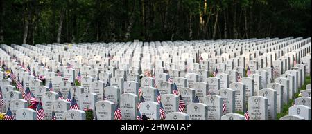 Grabsteine und Gräber auf dem Nationalfriedhof Tahoma in Kent, Washington, am Memorial Day Stockfoto