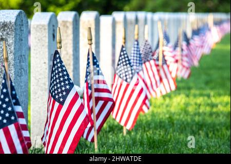 Grabsteine und Gräber auf dem Nationalfriedhof Tahoma in Kent, Washington, am Memorial Day Stockfoto