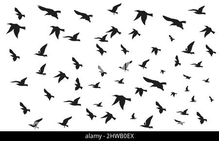 Ein Satz Raben. Eine Sammlung von schwarzen Krähen. Silhouette einer fliegenden Krähe. Vektor-Illustration von Raben Silhouette. Grunge Vogel Tattoo. Stock Vektor