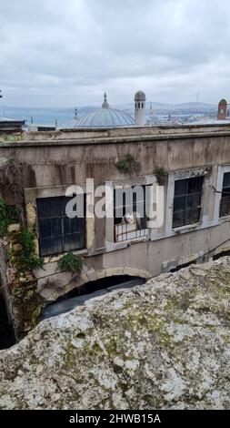 Ein Hund gucke aus dem Fenster einer Moschee in Istanbul Stockfoto