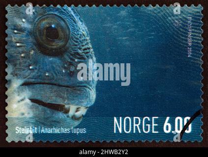 NORWEGEN - UM 2004: Eine in Norwegen gedruckte Marke aus der Ausgabe 'Marine Life in Norway' zeigt Wels (Anarhichas lupus), um 2004. Stockfoto