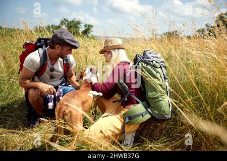 Ein junges Paar ist gut gelaunt, während es an einem schönen sonnigen Tag mit seinem Hund auf einer Wiese spazierengeht. Wandern, Natur, Beziehung, zusammen Stockfoto