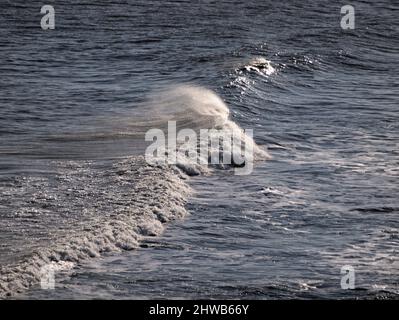 Wellen brechen in Flamborough Head, East Riding of Yorkshire. Stockfoto