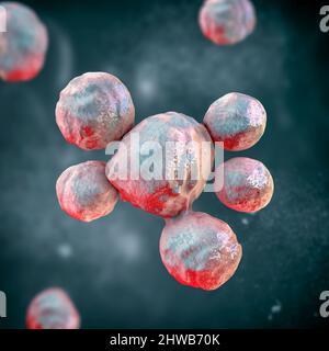 Pilze Paracoccidioides lutzii, Illustration Stockfoto