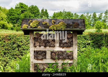 Holzbiene oder Insektenhotel im Garten Stockfoto