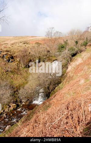Wasserfälle in Blaen y Glyn Uchaf, Brecon Beacons, Wales Stockfoto