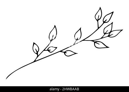 Abstrakt geformte Blätter. Minimalistische Kunst, moderne Modeformen. Von Hand gezeichnete Blätter Vektorset. Illustration Grafik Zeichnungslinie Stock Vektor