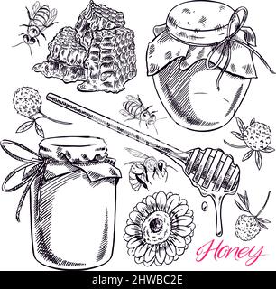 Niedliches Honigset. Honiggläser, Bienen, Honigwaben. Handgezeichnete Illustration Stock Vektor