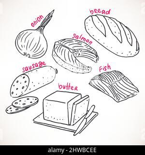 Sammlung von handgezeichneten Produkten. Handgezeichnete Illustration. Lebensmittel-Ikonen Stock Vektor