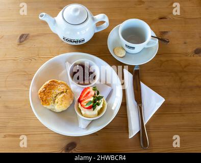 Schlichter Scone mit Marmelade, Rahm und frischen Erdbeeren, die bereit sind, in der Teestube im Trewidden House and Gardens in Penzance, Cornwall, Großbritannien, serviert zu werden Stockfoto