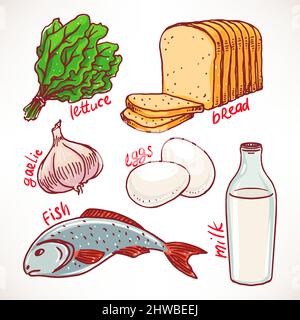 Sammlung von Produkten. Handgezeichnete Illustration. Lebensmittel-Ikonen Stock Vektor