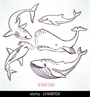 Set von großen Meereslebewesen. Handgezeichnete Illustration Stock Vektor