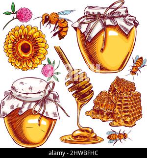 Niedliches Honigset. Honiggläser, Bienen, Honigwaben. Handgezeichnete Illustration Stock Vektor