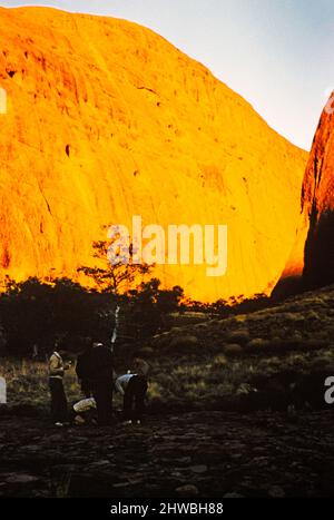 Melbourne Grammar School Expedition, Northern Territory, Australien in 1956 Jungen in den Olgas, Kata Tjuta Stockfoto