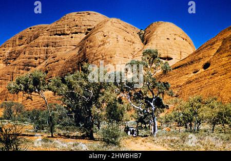 Melbourne Grammar School Expedition, Northern Territory, Australien im Jahr 1956 in den Olgas, Kata Tjuta Stockfoto