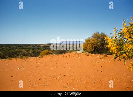 Melbourne Grammar School Expedition, Northern Territory, Australien in 1956 Fernansicht des Mount Conner Stockfoto