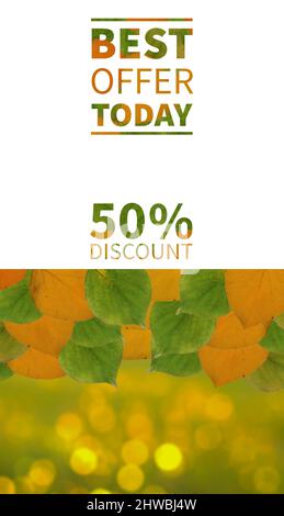 Sale Banner, das beste Angebot von heute 50% Rabatt Herbstblätter mit weißem Hintergrund. Flaches Layout, Draufsicht, Kopierbereich Stockfoto