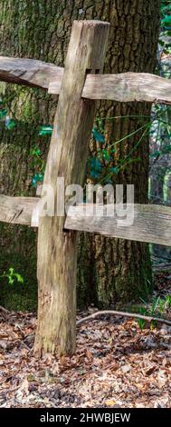 Detail der Holzeinzäunung von Pfosten und Schiene mit Fugen Stockfoto