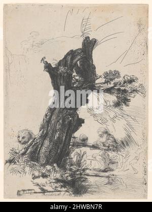 Heiliger Hieronymus neben einer Pollard Willow. Künstler: Rembrandt (Rembrandt van Rijn), Niederländisch, 1606–1669 Stockfoto