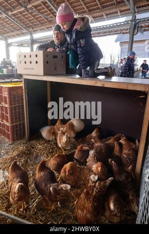 Volkenroda, Deutschland. 05. März 2022. Patrick Gaßmann und seine Tochter Sophie wählen Legehennen auf dem Tier- und Bauernmarkt im Kloster Volkenroda aus. Rund 50 Händler boten ihre Waren rund um Hof und Garten auf dem ersten Markt der Saison an. Quelle: Michael Reichel/dpa-Zentralbild/ZB/dpa/Alamy Live News Stockfoto