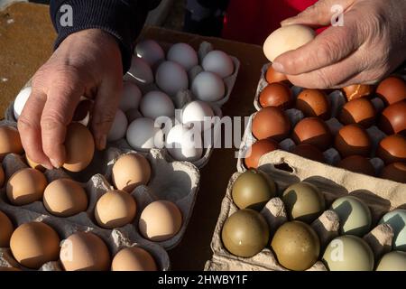 Volkenroda, Deutschland. 05. März 2022. Bruteier werden auf dem Tier- und Bauernmarkt im Kloster Volkenroda zum Verkauf angeboten. Rund 50 Händler haben ihre Waren rund um den Hof und Garten auf dem ersten Markt der Saison angeboten. Quelle: Michael Reichel/dpa-Zentralbild/ZB/dpa/Alamy Live News Stockfoto