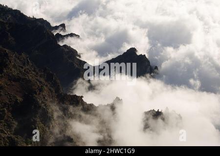 Klippen des Nationalparks Caldera de Taburiente im Nebel. La Palma. Kanarische Inseln. Spanien. Stockfoto