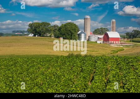 Iowa Farm, in der Nähe von Luxemburg, Iowa. Dubuque County. Stockfoto