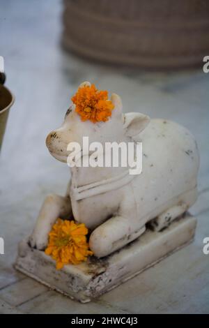 Indien, Hindu, Festival, Ganges, Ikone, Kumbh Mela, Wallfahrt, Ganges River, Travel India,Holy River, Religion. Hinduismus, Naga, Sadhu, Diwali, Festival Stockfoto