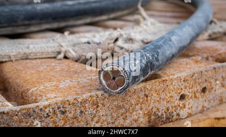 Flexibles, mehradriges industrielles Elektrokabel Stockfoto