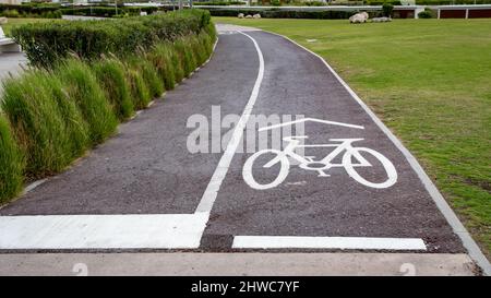 Radfahrbahnmarkierungen auf einem Weg durch einen öffentlichen Park Stockfoto